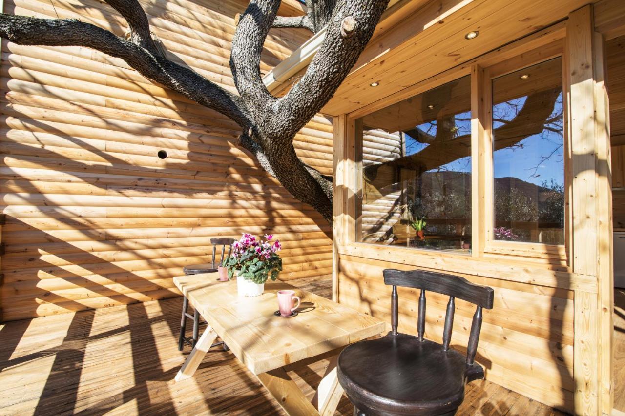 Romantic Tree House Kato Pavliana المظهر الخارجي الصورة