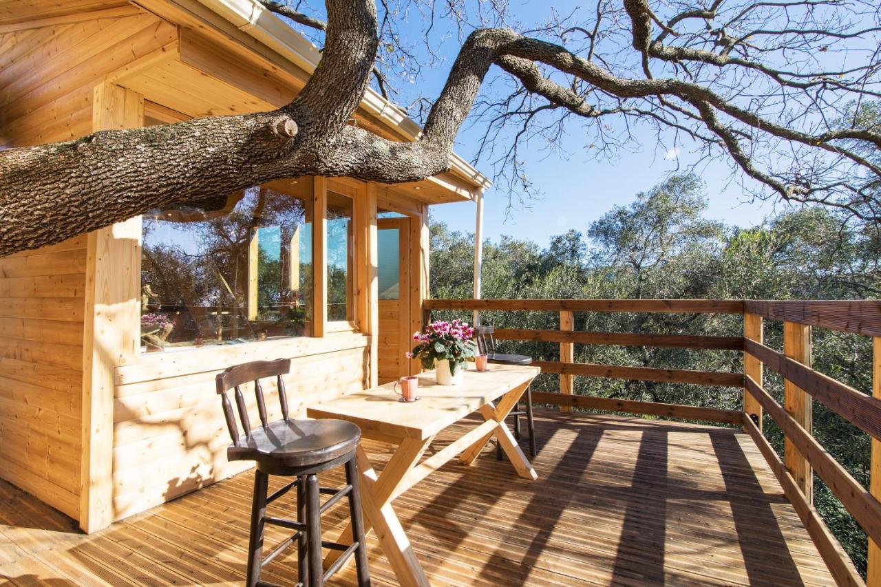 Romantic Tree House Kato Pavliana المظهر الخارجي الصورة