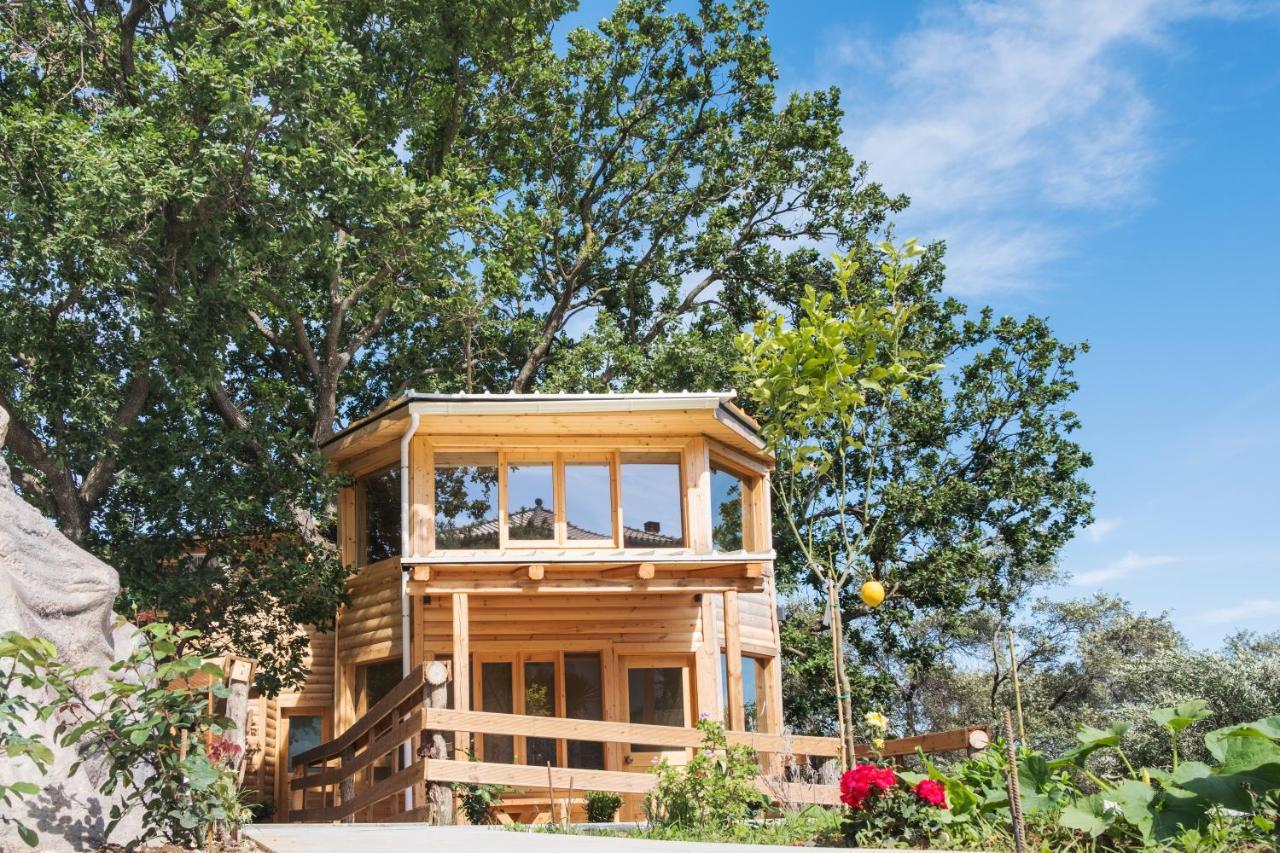 Romantic Tree House Kato Pavliana المظهر الخارجي الصورة