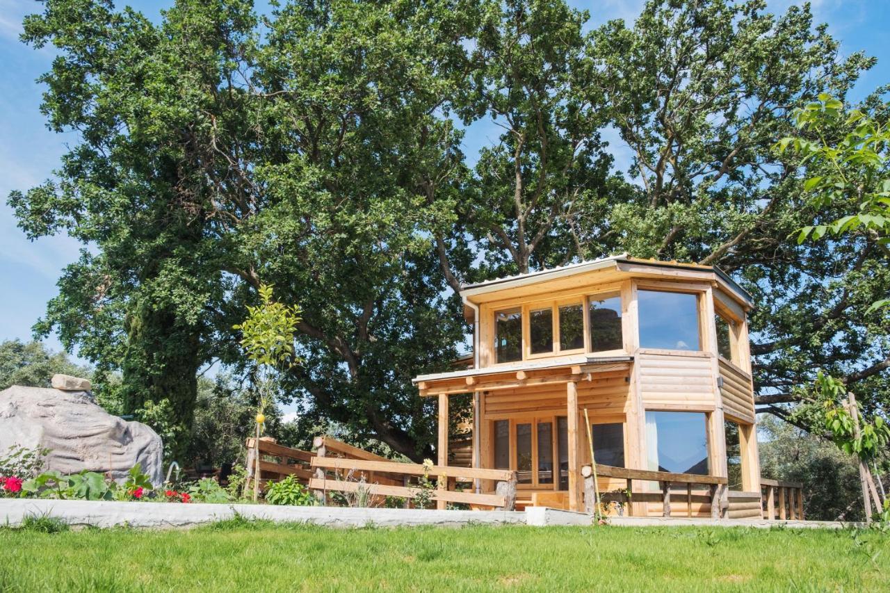 Romantic Tree House Kato Pavliana المظهر الخارجي الصورة
